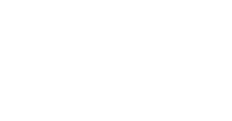 Hellmann's