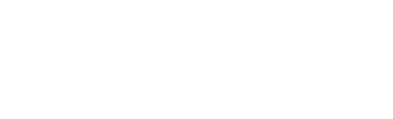Mitsubishi Long